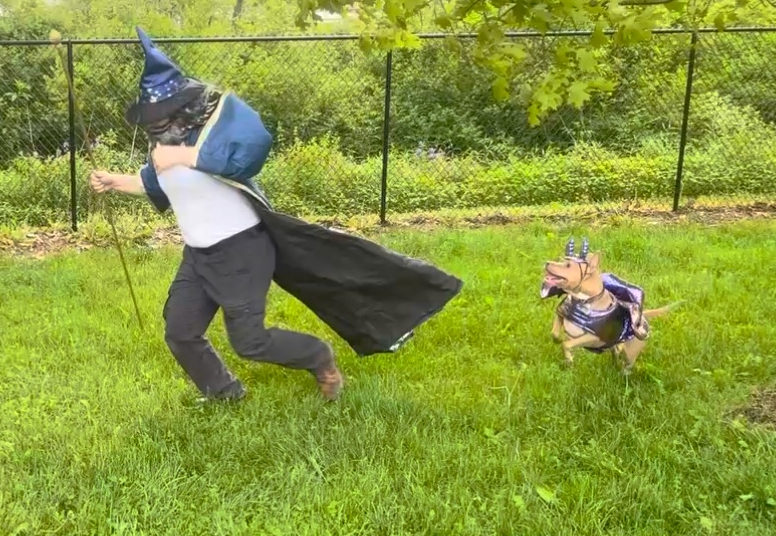 File:Dragon and wizard.png