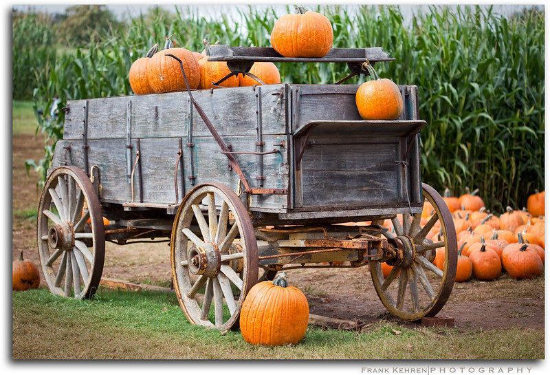 File:4002429331 9e454667a9 c (1).jpg