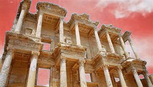 Library of Amparo.jpg