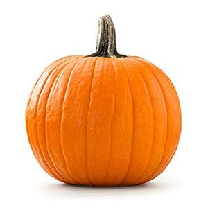 Rowan as a pumpkin.jpg