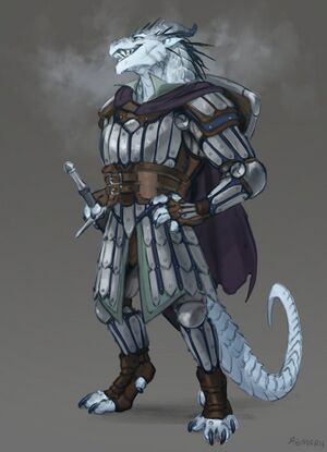 White Dragonborn Knight.jpg